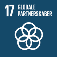 17. translation missing: da.sdg.goals.goal_17.title