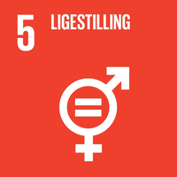 5. translation missing: da.sdg.goals.goal_5.title